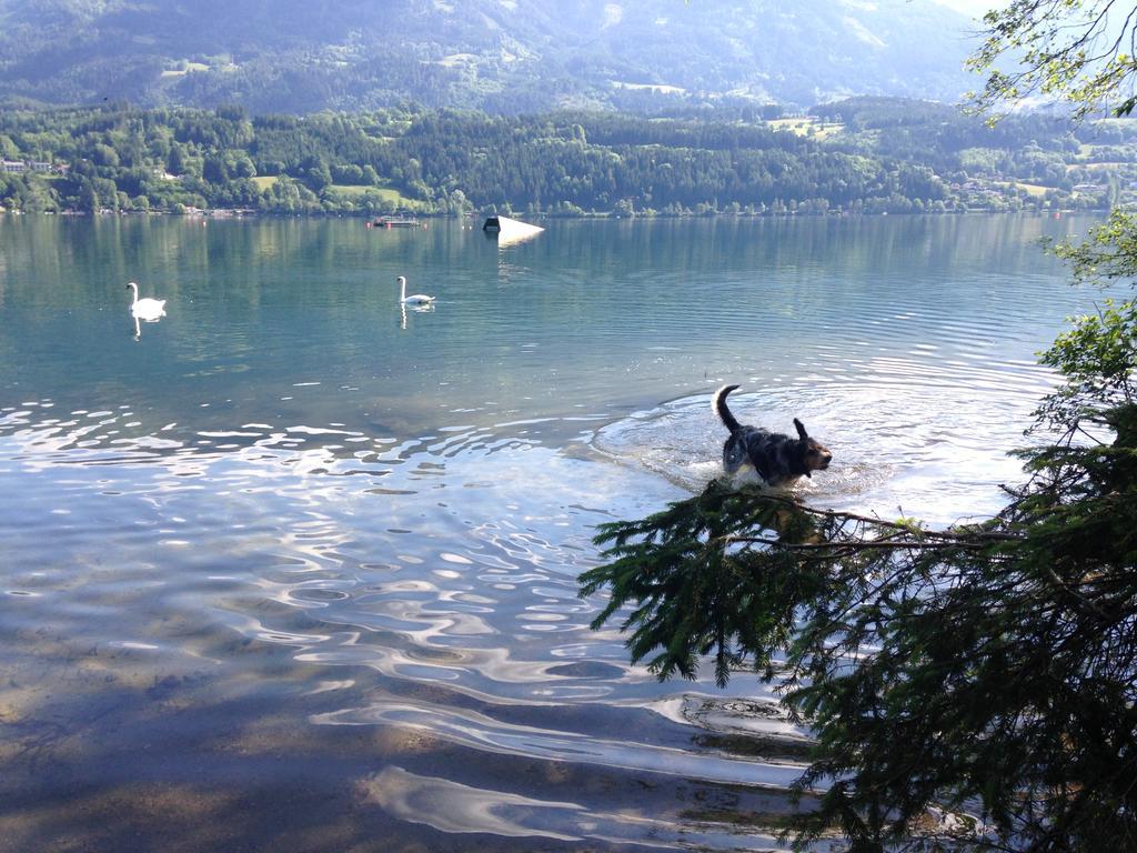 Ruhige Wohnung Mit Schoenem Eigengarten In Seeboden Am Millstaettersee Pokój zdjęcie