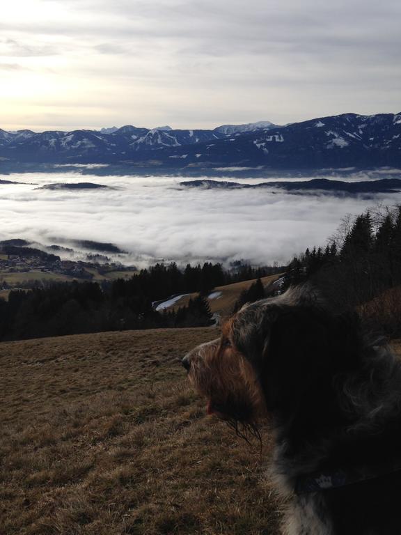 Ruhige Wohnung Mit Schoenem Eigengarten In Seeboden Am Millstaettersee Zewnętrze zdjęcie