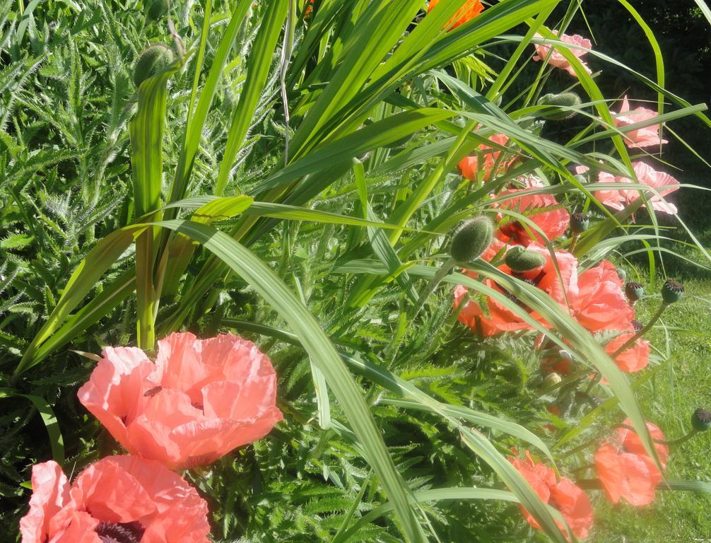 Ruhige Wohnung Mit Schoenem Eigengarten In Seeboden Am Millstaettersee Zewnętrze zdjęcie