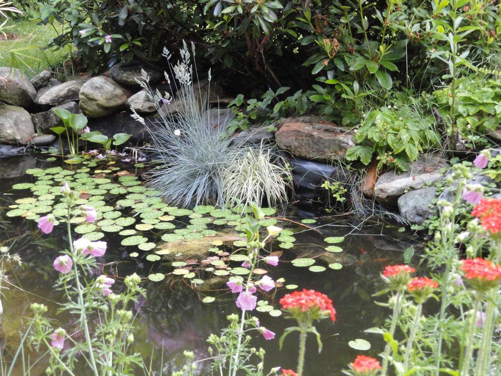 Ruhige Wohnung Mit Schoenem Eigengarten In Seeboden Am Millstaettersee Zewnętrze zdjęcie